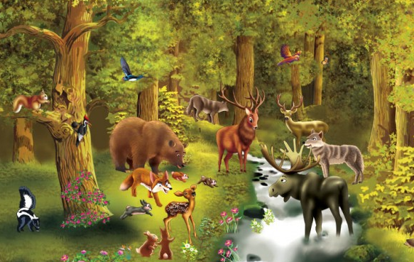 Puzzle Nivel 6: Animales del bosque | Recurso educativo 34318