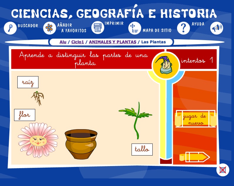 Las partes de una planta | Recurso educativo 35543