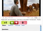 Video: Wild African Elephant | Recurso educativo 38085