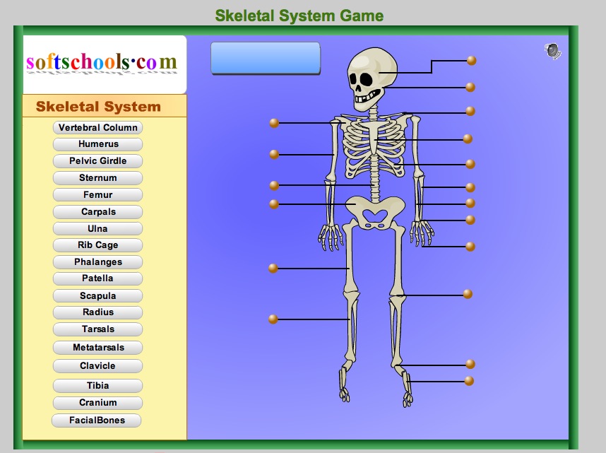 Skeletal System Game | Recurso educativo 41754