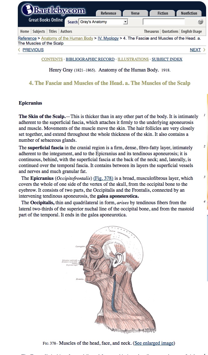 Gray’s Anatomy of the Human Body | Recurso educativo 42406