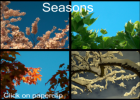 Four seasons | Recurso educativo 45702