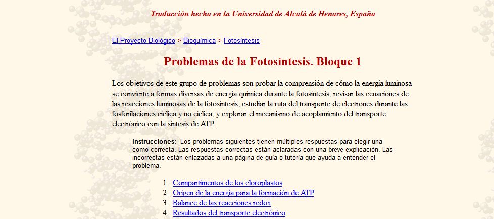 Problemas de fotosíntesis | Recurso educativo 47614