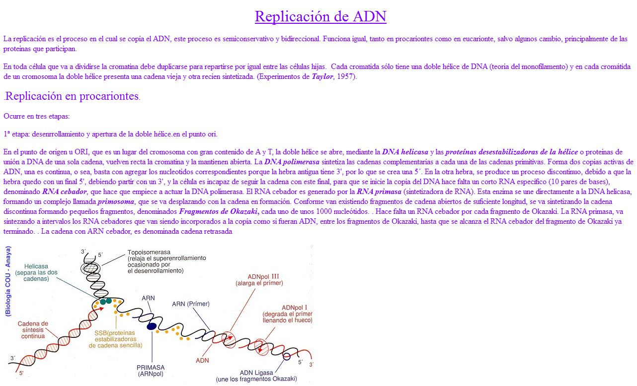 Replicació de l'ADN | Recurso educativo 49511