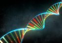 El ADN | Recurso educativo 61653
