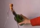 Experimento: ¿Cómo mantener el equilibrio después de terminar una botella de vino? | Recurso educativo 10164