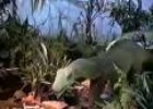 Vídeo: les característiques dels dinosaures | Recurso educativo 18543