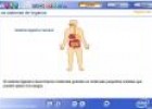 Los sistemas de órganos | Recurso educativo 2672