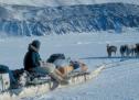 Els Inuit | Recurso educativo 32917