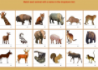 Animals (matching game) | Recurso educativo 9138
