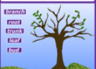 Parts of a tree | Recurso educativo 63254