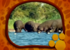 El Maravilloso Mundo de los Animales: Los Hipopotamos | Recurso educativo 70848