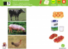 Somos investigadores: Alimentos de origen animal | Recurso educativo 79040