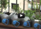 Vídeo: Huerto urbano con auto riego totalmente casero | Recurso educativo 80789