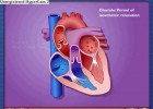 Cardiac Cycle - Systole & Diastole | Recurso educativo 113807