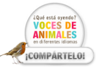 Voces de animales: las onomatopeyas | Recurso educativo 679549
