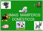 ANIMAIS MAMÍFEROS DOMÉSTICOS E SALVAXES | Recurso educativo 683740