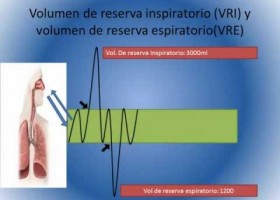 Ventilación Pulmonar- volúmenes pulmonares | Recurso educativo 735889