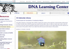 3D Animations - Translation : DNA | Recurso educativo 745510
