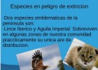 Fauna Andaluza | Recurso educativo 748898