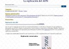 Replicación del ADN | Recurso educativo 756119