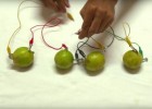 Cómo se hace una pila voltaica con limones | Recurso educativo 759054
