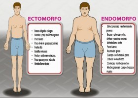 Somatotipo | Recurso educativo 759268