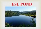 ESL EFL,ESOL Resources SM | Recurso educativo 763541