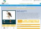 El águila pescadora | Recurso educativo 764390