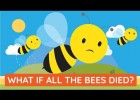 What if all the bees died? | Recurso educativo 773705