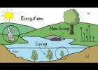 Ecosystems | Recurso educativo 778387