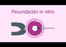 Fecundación in vitro | Recurso educativo 732029
