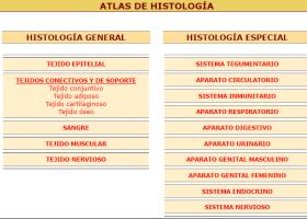 Atlas de histología | Recurso educativo 788459