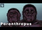 L'evolució del Paranthropus | Recurso educativo 789478