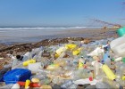 Per què és important reciclar? | Recurso educativo 7901518