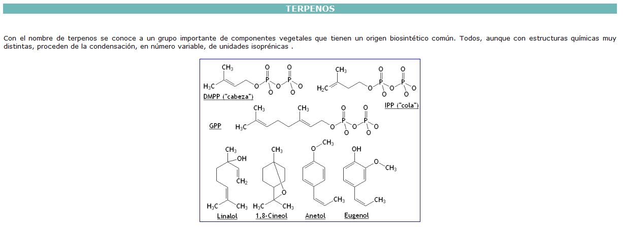 Els terpens | Recurso educativo 46631