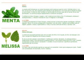 Les plantes aromàtiques | Recurso educativo 684656