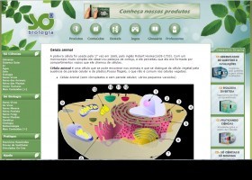 Célula animal | Recurso educativo 726438