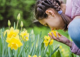 Imaxe dunha nena ulindo unha flor | Recurso educativo 769252